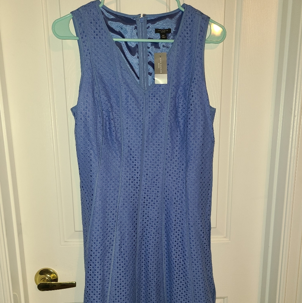 Ann Taylor NWTs size 8P dress